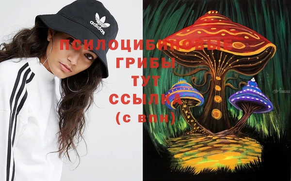 кокс Бородино