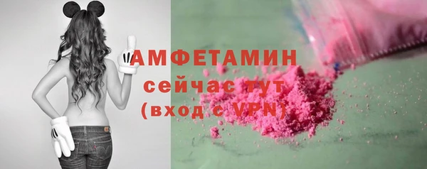 гидра Надым