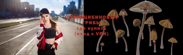 мдпв Бронницы
