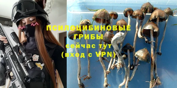 кокс Бородино