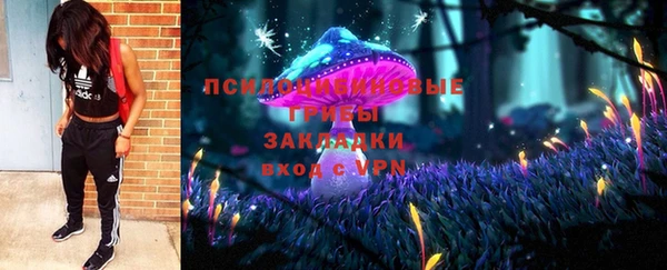 мдпв Бронницы
