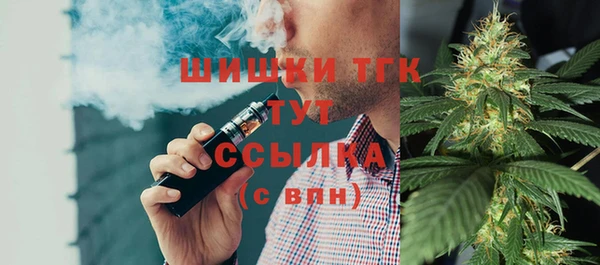 мдпв Бронницы