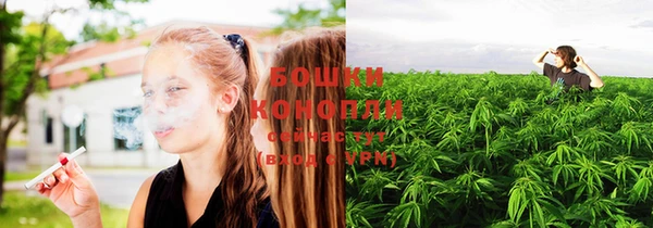 мдпв Бронницы